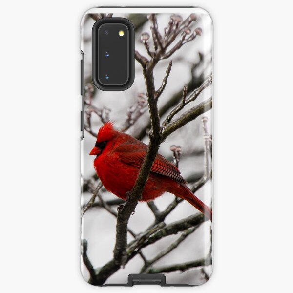 Winter Cardinal - Icy Tree Samsung Galaxy Robuste Hülle
