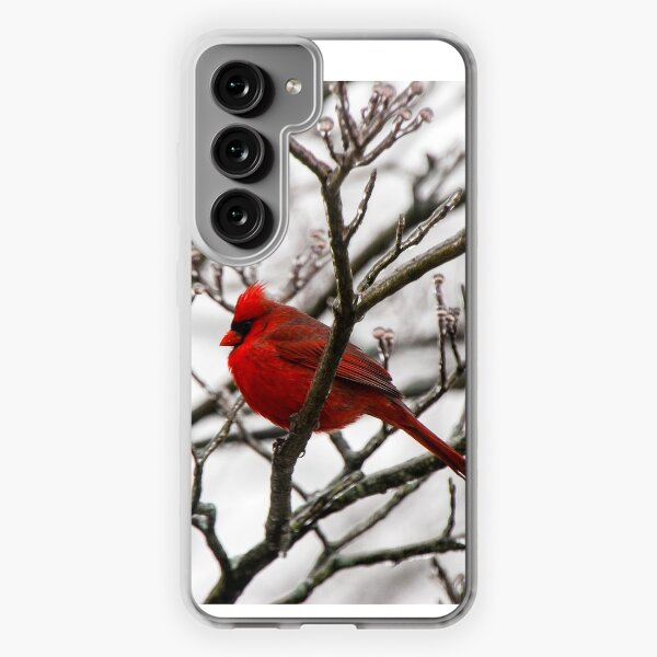 Official St. Louis Cardinals Phone Cases, Cardinals iPhone, Samsung Galaxy  Cases, Skins