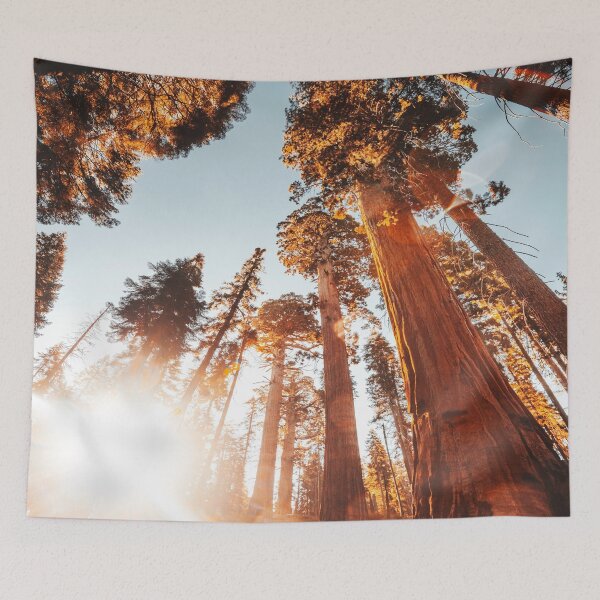 Item preview, sequoia national park designed and sold by franckreporter.