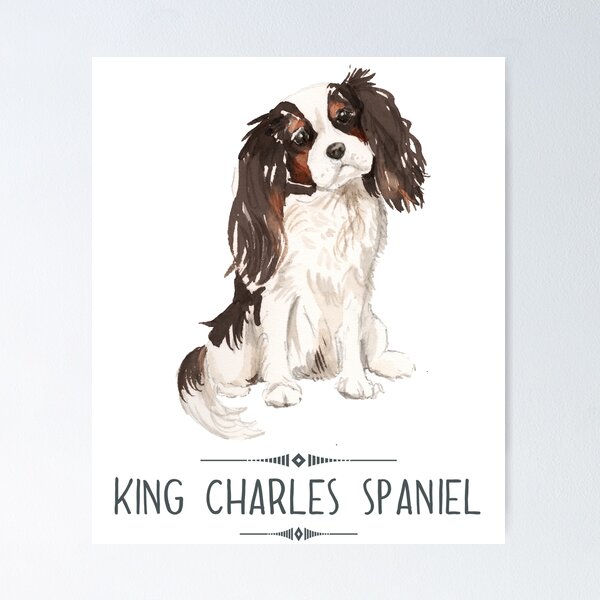 Item preview, King Charles Spaniel designed and sold by bullshirter.