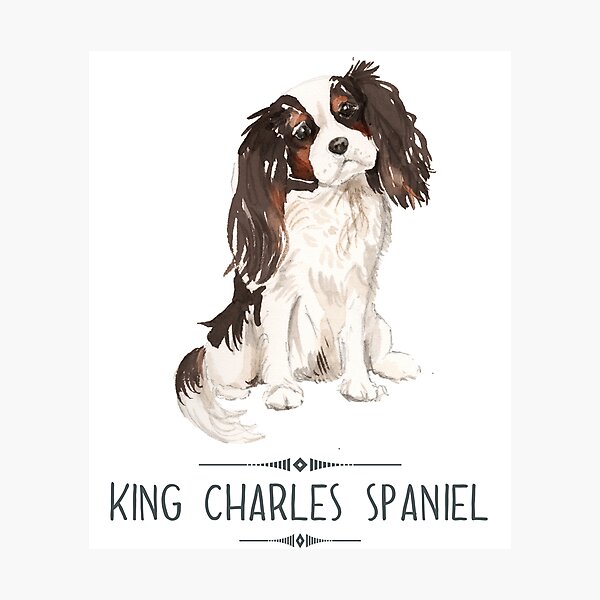 Item preview, King Charles Spaniel designed and sold by bullshirter.