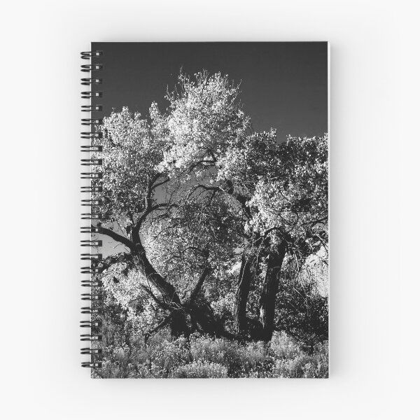 Item preview, Cottonwood tree designed and sold by Rees Gordon.