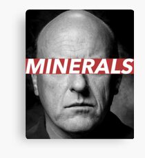 MINERALS Canvas Print