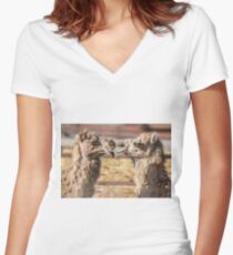 Kissing Camels Women's Fitted V-Neck T-Shirt