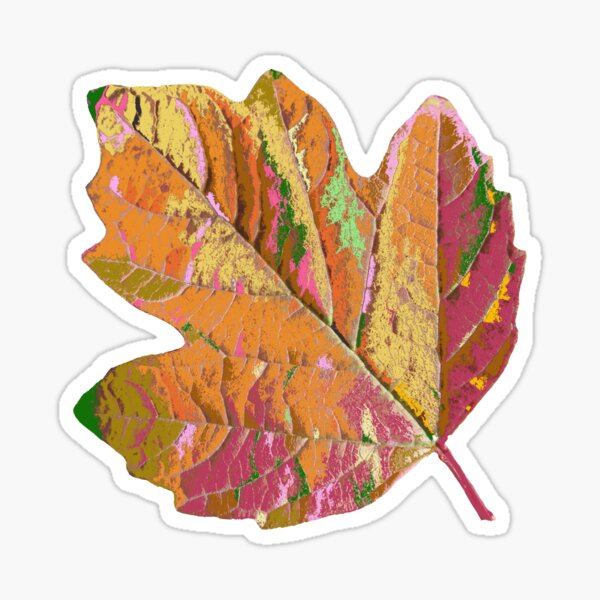 wundervolles Blatt, Herbst, Baum, Laub, Jahreszeit Sticker