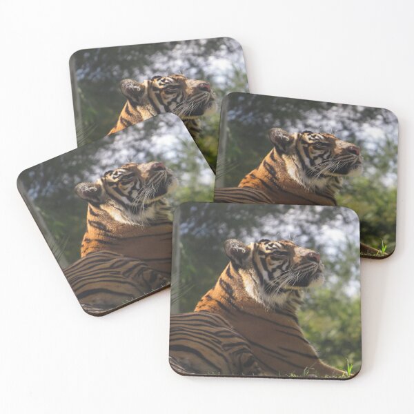 Item preview,  Listening to a call of the jungle designed and sold by Zina Stromberg.