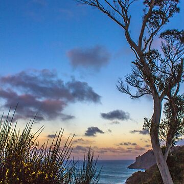 Artwork thumbnail, Australian Sunset by Elysian Photography