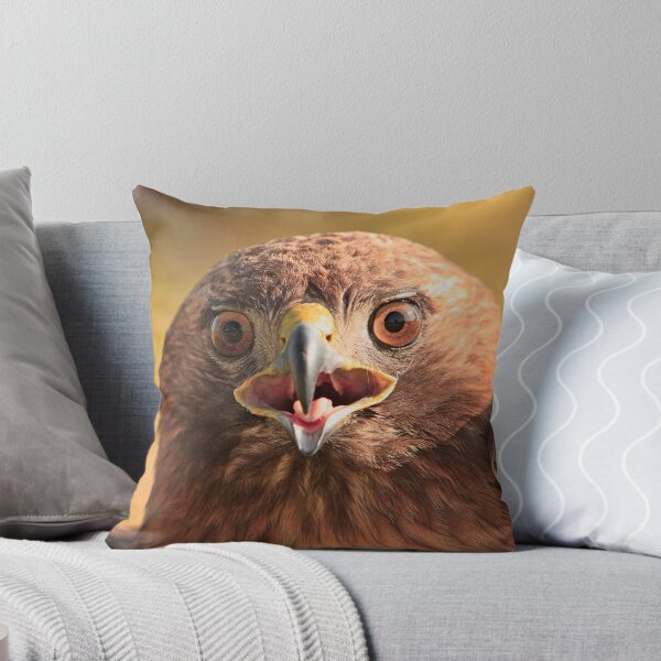 Item preview, Red Tail Hawk - Family:  Accipitriformes designed and sold by Buckwhite.
