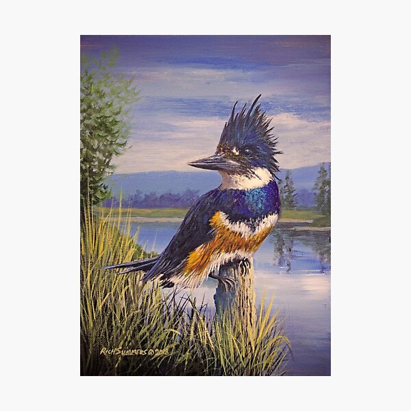 Item preview, Belted Kingfisher designed and sold by Rich Summers Art.