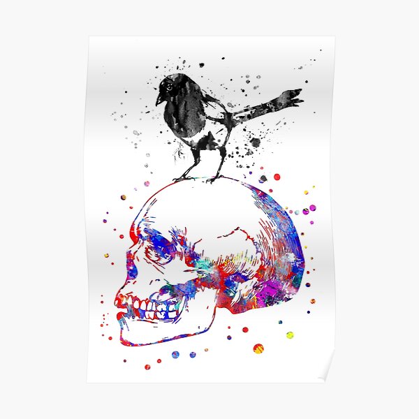 Magpie on a skull Poster