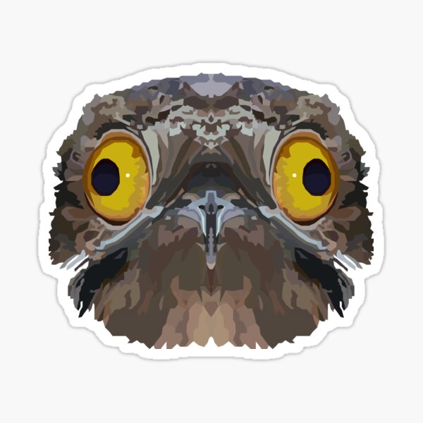 Topographic: Common Potoo Sticker