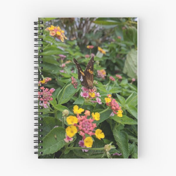 Item preview, Silver spotted skipper on lantana designed and sold by Jenambs.