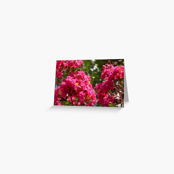 Vista previa del artículo con la obra «Crepe Myrtle», diseñado y vendido por Ginny Schmidt.