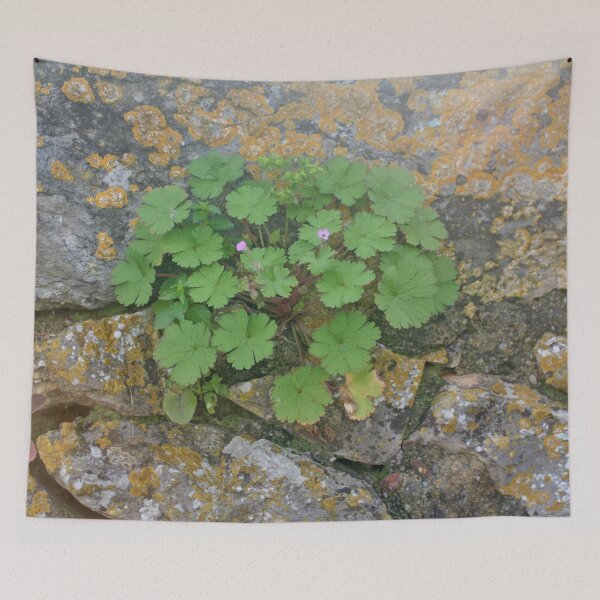 Item preview, Life on an old stone wall designed and sold by Anna Lemos.