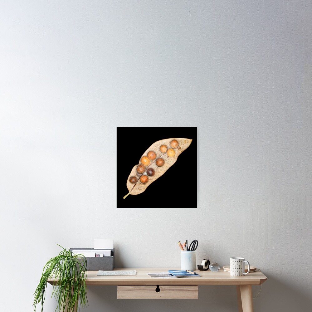 Item preview, Poster designed and sold by WarrenPHarris.