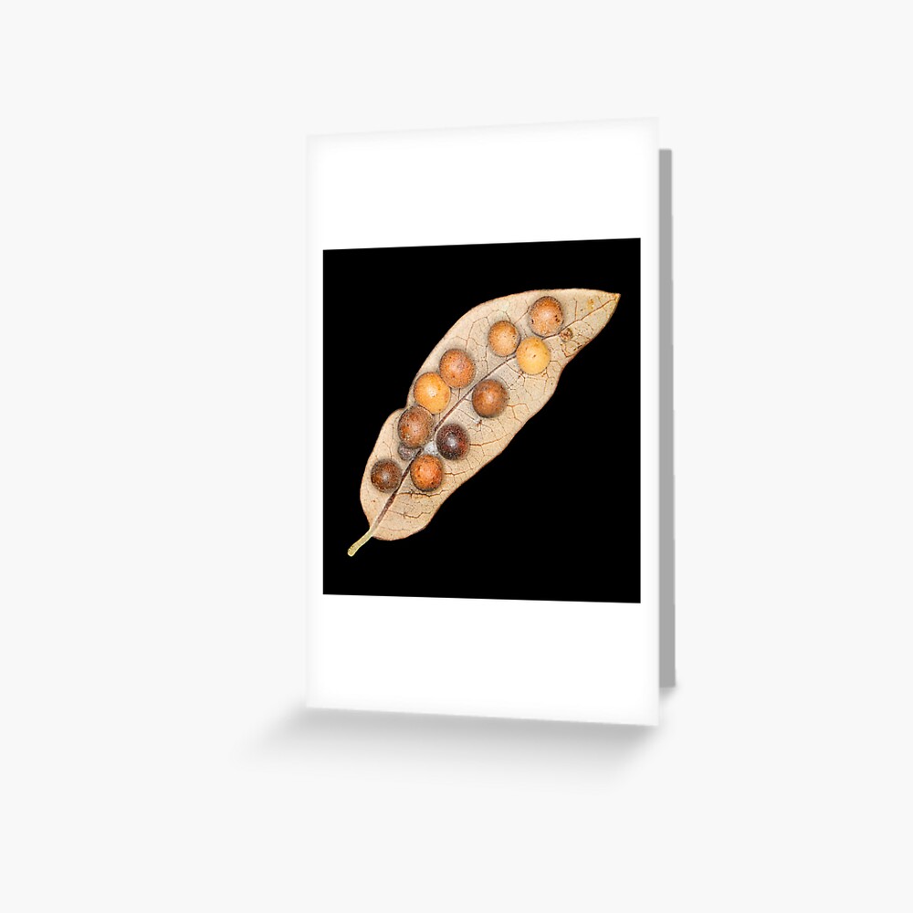 Item preview, Greeting Card designed and sold by WarrenPHarris.
