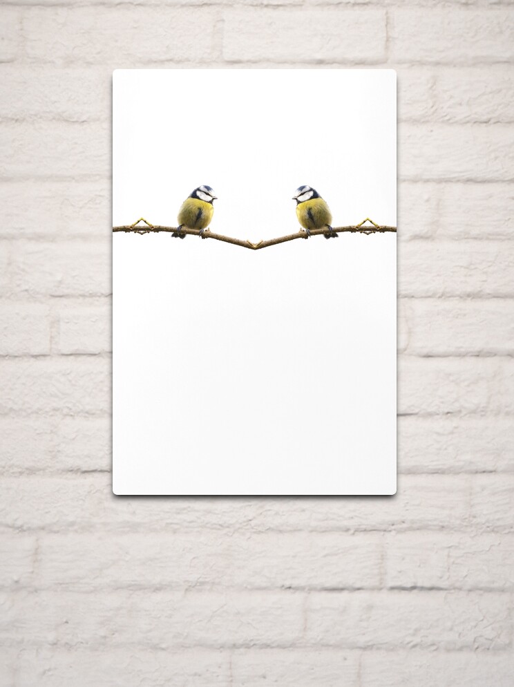 A pair of great tits ' Poster, picture, metal print, paint by Phil