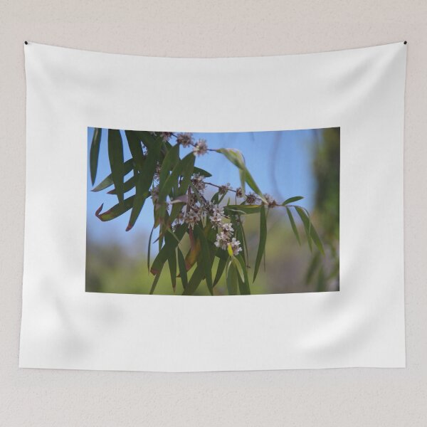 Item preview, Western Australian Peppermint (Agonis flexuosa) designed and sold by lezvee.