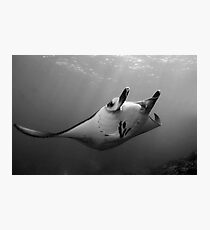 Manta Pose B&W Photographic Print