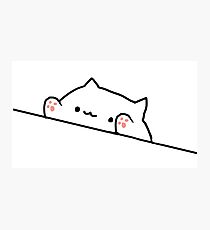 Bongo Cat Photographic Print