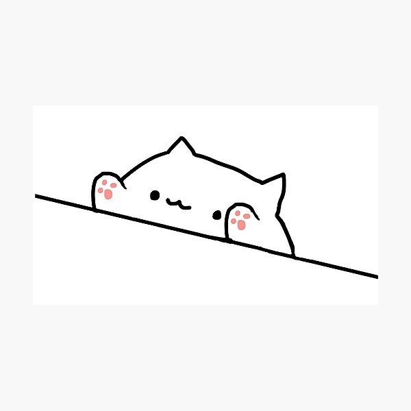 Bongo Cat Photographic Print