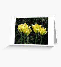 Yellow Tulips Greeting Card