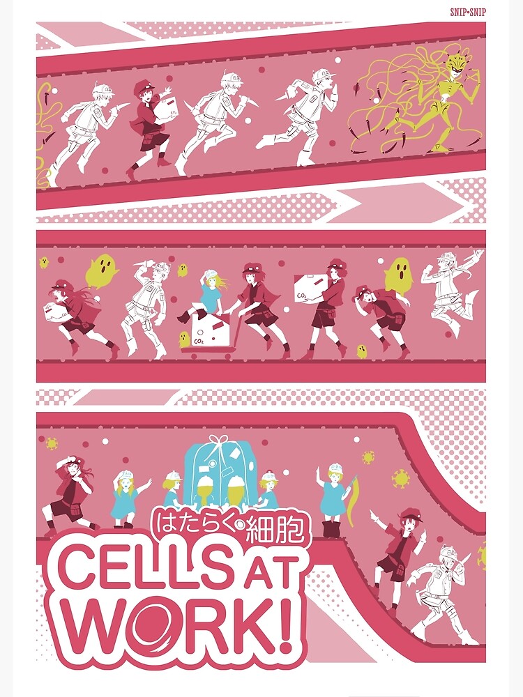 Hataraku Saibou / Cells at Work - Red Blood Cell Postcard for Sale by  Anime Access