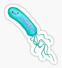 Pseudomonas aeruginosa Sticker