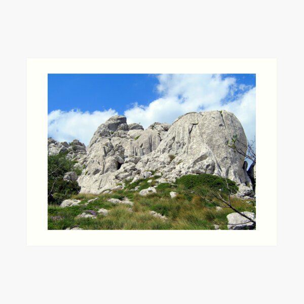 Art Print