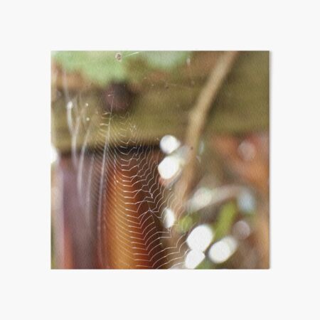 Aperçu de l'œuvre Web tacheté 3 créée et vendue par Carolyn's Captures - Original Photohgraphy.