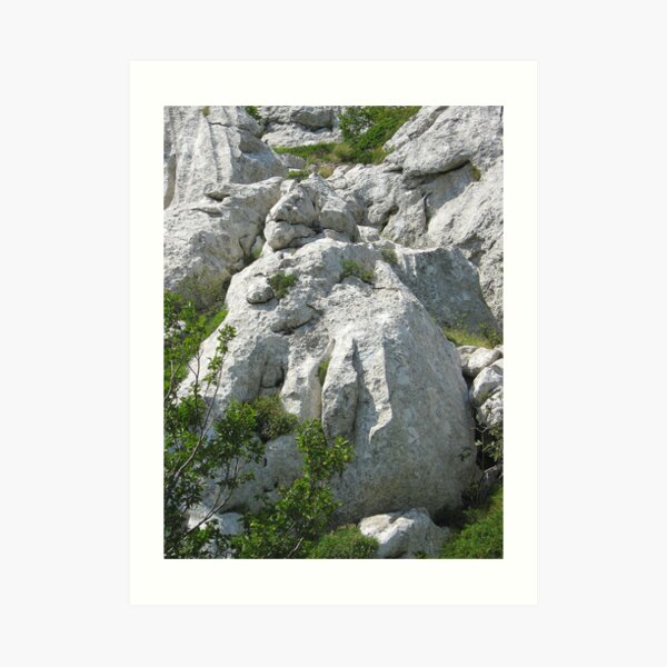 Art Print