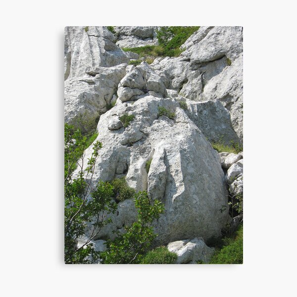 WINGED LION Canvas Print