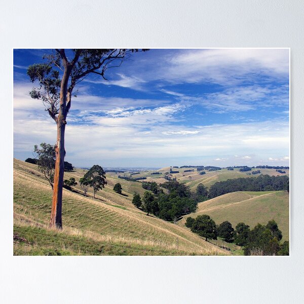 Item preview, Strzelecki Ranges, Gippsland, Victoria, Australia. designed and sold by johnrf.
