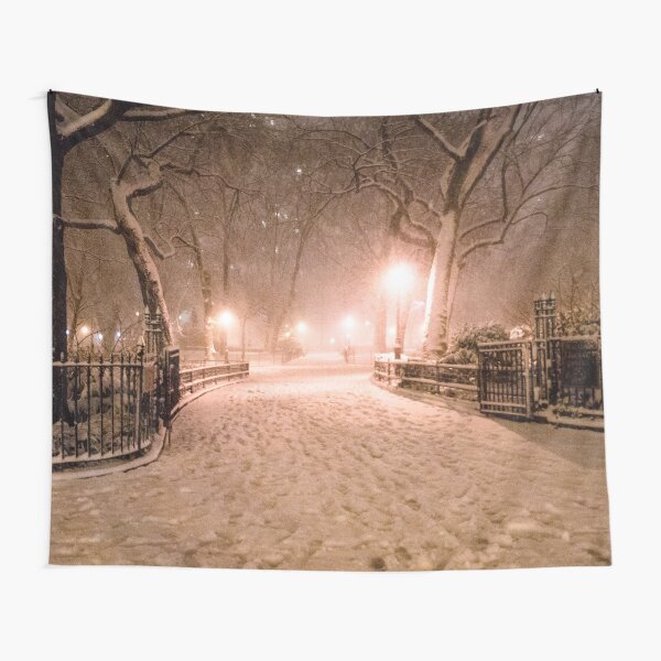Artikel-Vorschau von Wintermärchen New York City, designt und verkauft von Vivienne Gucwa.
