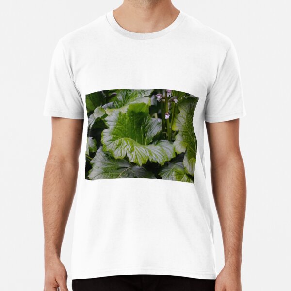 Item preview, Brassica Rapa designed and sold by Asiantiger247.