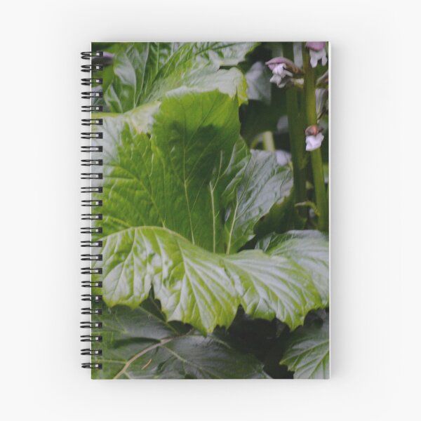 Item preview, Brassica Rapa designed and sold by Asiantiger247.