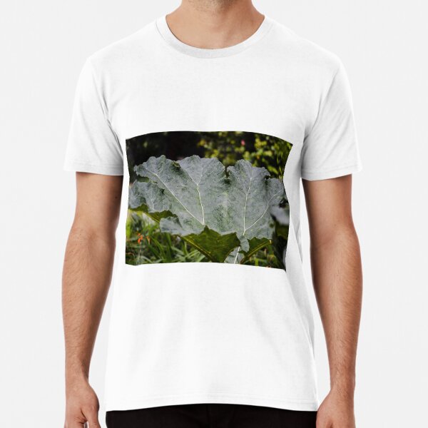 Item preview, Rheum leaf designed and sold by Asiantiger247.