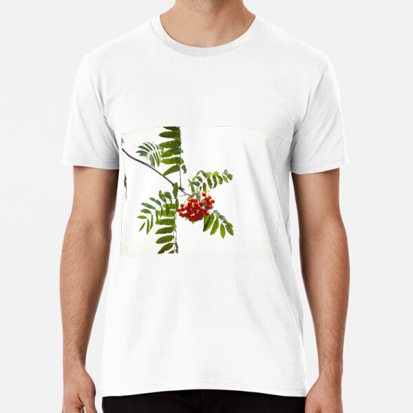 Item preview, Red berries in a tree designed and sold by Asiantiger247.