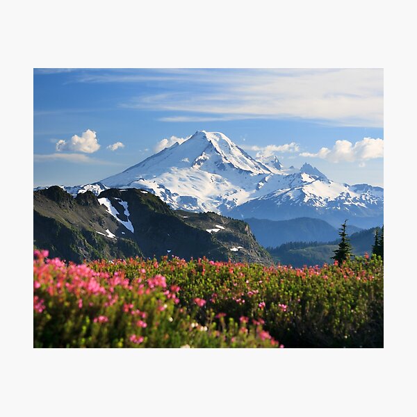 Mount Baker from the Tomyhoi Peak Trail, Mount Baker Wilderness, Washington Photographic Print