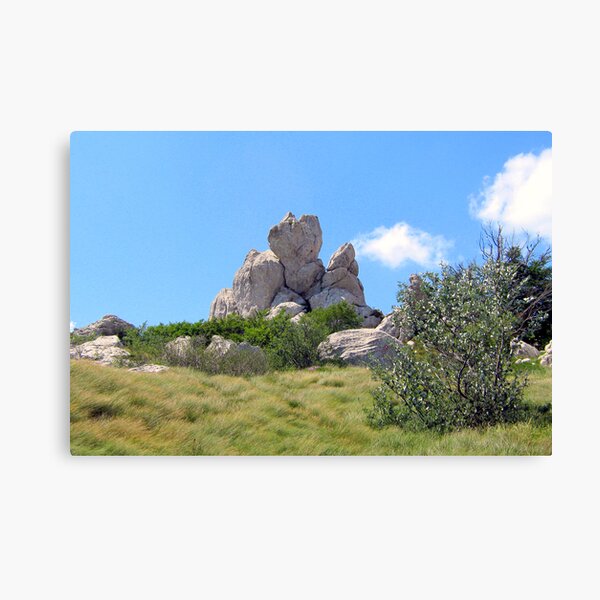 HEART OF THE MOUNTAIN Canvas Print