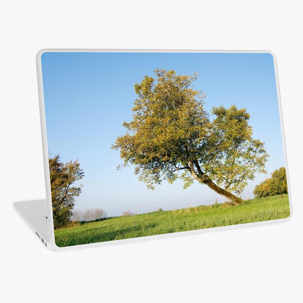 Item preview, Laptop Skin designed and sold by patmo.