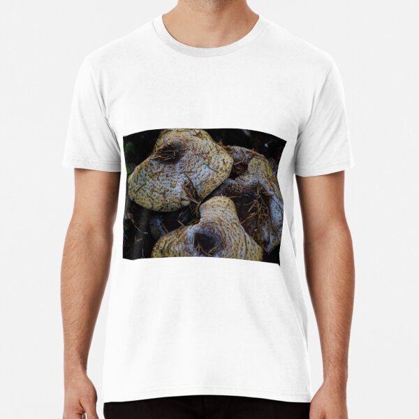 Item preview, Shrooms designed and sold by Asiantiger247.