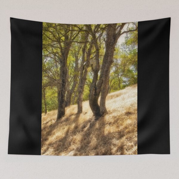 Item preview, Oak trees from a foggy morning mountain trail  designed and sold by Soumya Mitra.