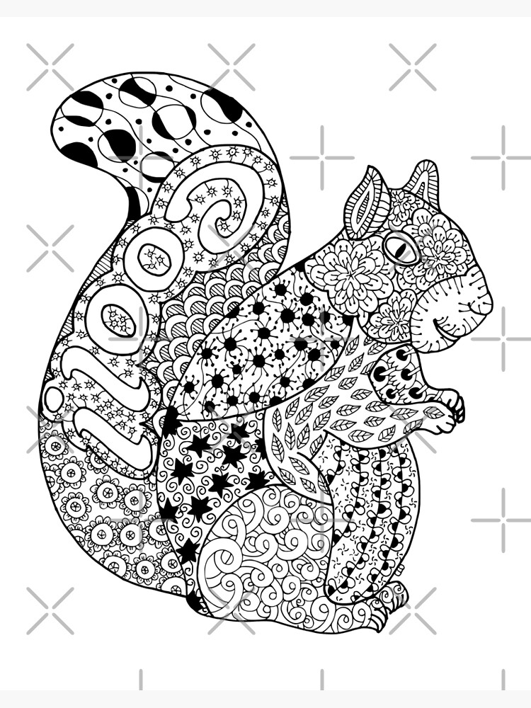 Squirrel Mandala Coloring Pages Book Animals Zentangle Adults Coloring Book