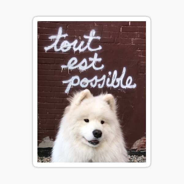 Tout est possible Sticker