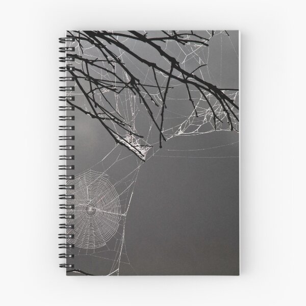 Item preview, Spider webs designed and sold by pennyswork.