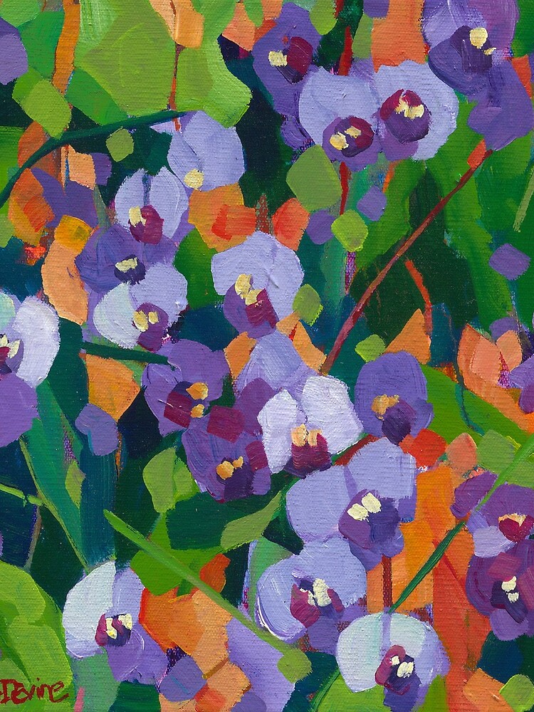 Hardenbergia by depicture