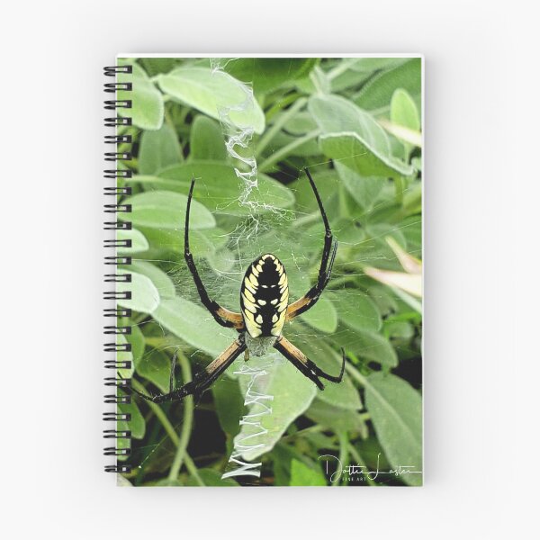 Item preview, Orb Weaver Spider designed and sold by trafficked.