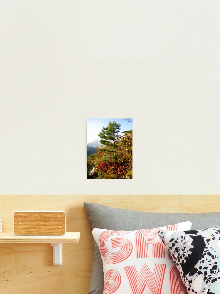 Thumbnail 2 of 3, Photographic Print, RED AND GREEN designed and sold by TatianaMichaela.