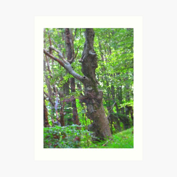 Art Print